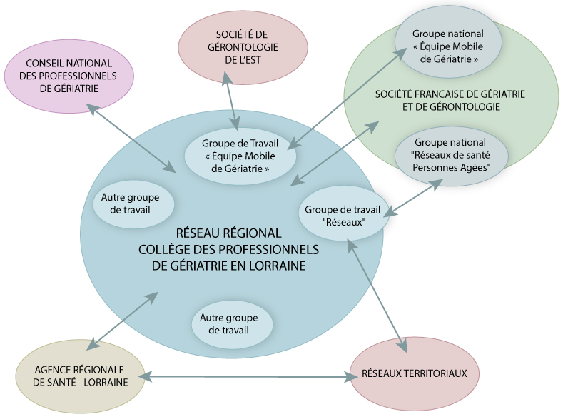 schemas organisation des acteurs